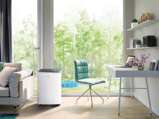 Elecotrulux -Air quality-Portable air conditioner in a livingroom