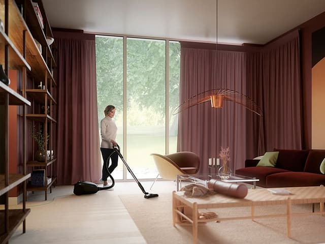 Electroclux- Vacuum cleaners-Regular vacuum cleaner- Top image desktop