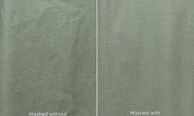 electrolux steam image