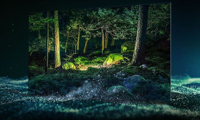 Samsung Quantum HDR OLED TV som viser en eventyrlig og mørk skog