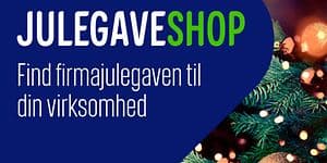 1024x768px-julegaveshop-2022-uden-cta (1)