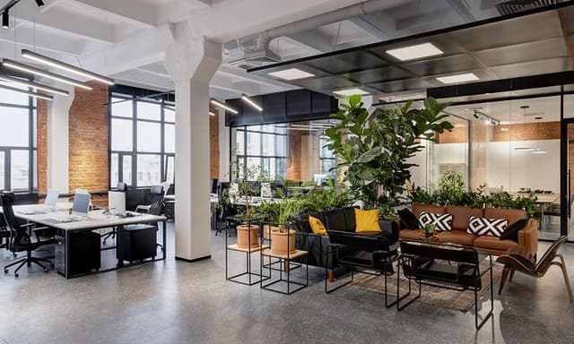 Modern office with plants