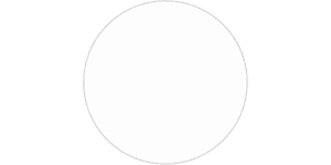 White circle