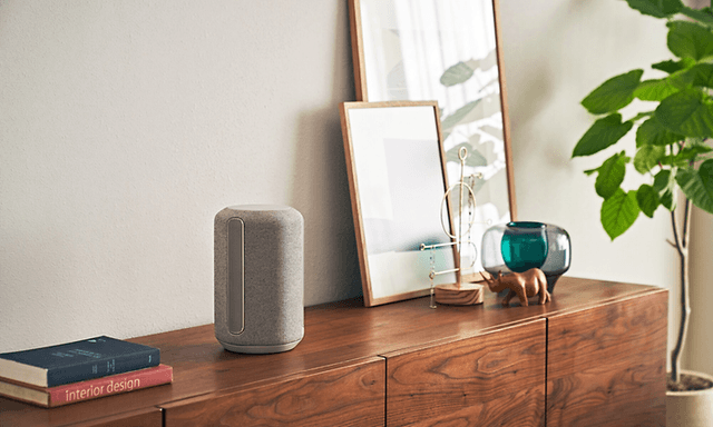 Sony speaker on top of chest