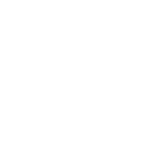 live-shopping-ikon