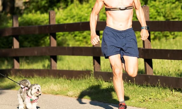 Telecom - How to connect your heart rate belt to your sports watch - A man running with a heart rate monitor on his chest