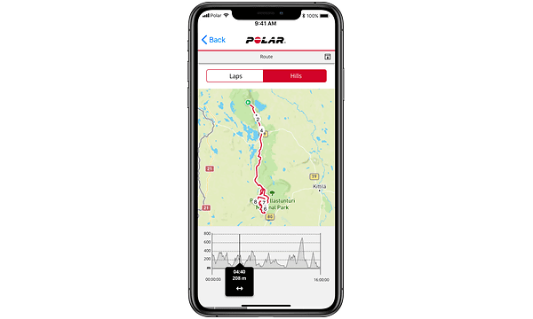 Polarkarta på en smartphone