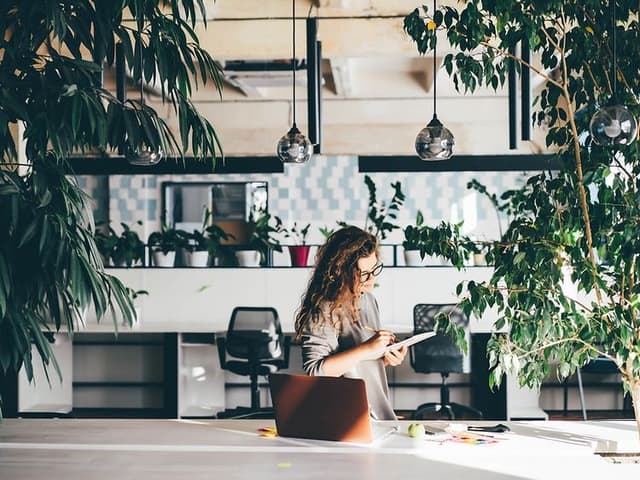 B2B - Indoor climate - Woman working at an office surrounded by plants