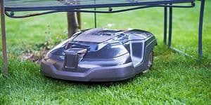 Robot lawn mover under a trampoline