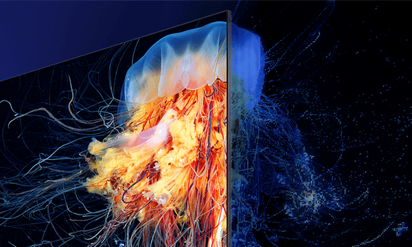 Värikäs merenelävä Samsung TV:n näytöllä