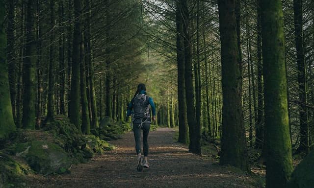 Kvinna som joggar i skogen