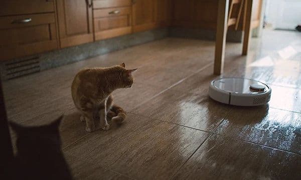Robot billede 6