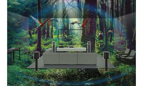 TV-Stue med Sony TA-AN1000 i en jungel med fugler som flyr rundt