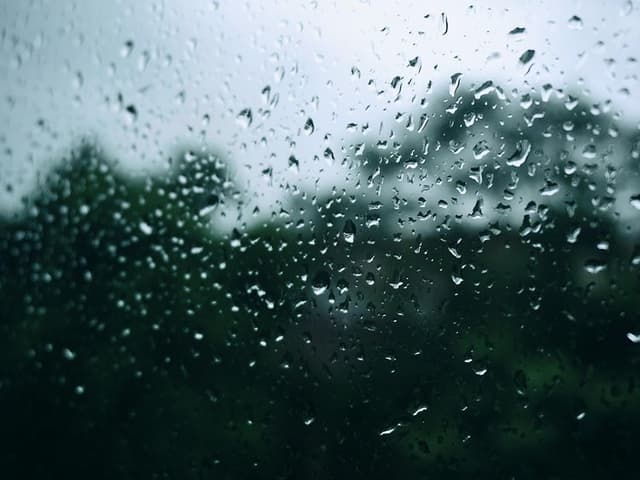 tra-nguyen-5VD8vTAN0GE-unsplash