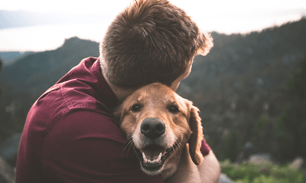 MDA - Beko - Man holding his dog on the top of a hill