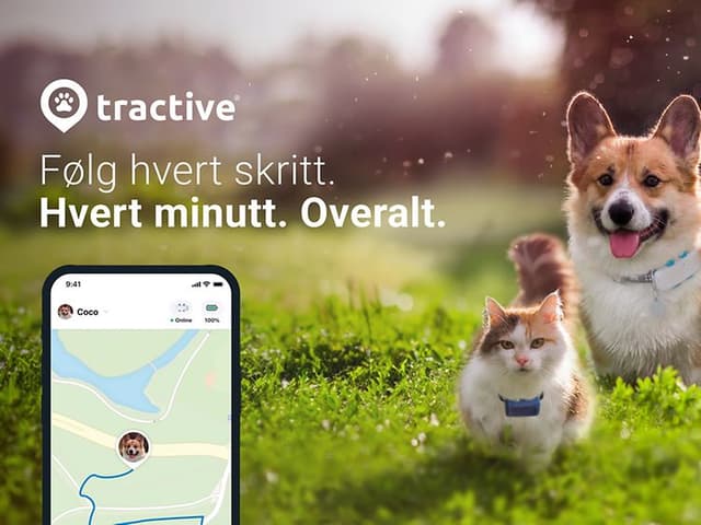Tractative Trackers toppbanner som viser app, hund og katt
