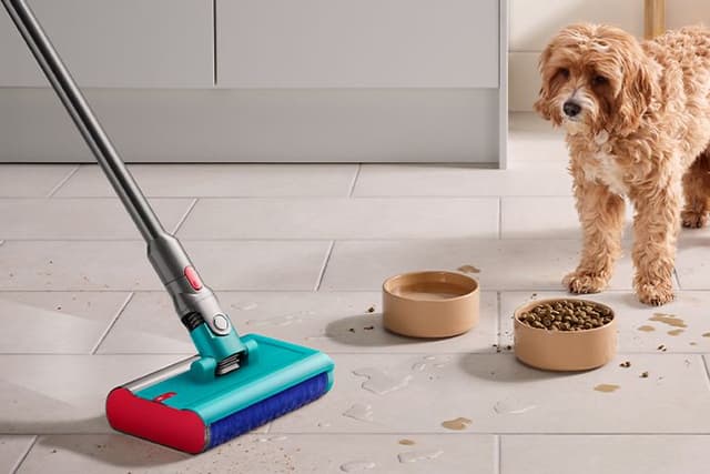 Dyson V15 Submarine Detect-støvsuger ved siden av en hund