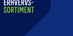 categorypage-Payment-solutions-236827-1024x768-dk