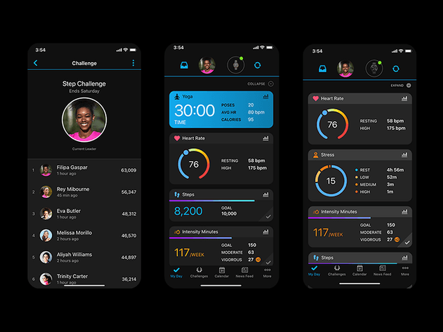 Garmin Connect app is a one-stop shop for health and fitness data