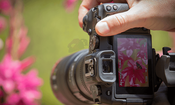Canon EOS RP - Kompromissløs EOS-håndtering