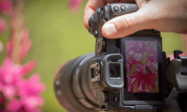 Canon EOS RP - No compromise
