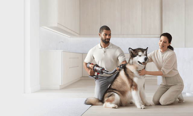 Et par som bruker Dyson Pet Grooming Kit på hunden sin