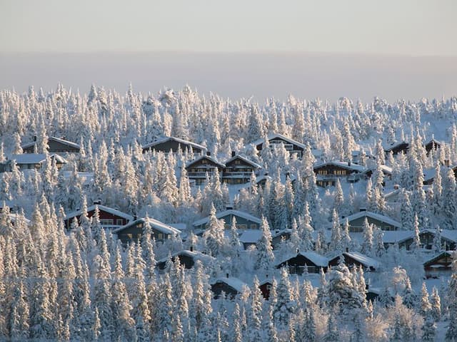 Picture of cabins and trees in the snow