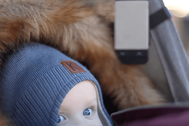 neonate-babymonitor-n65lgrey