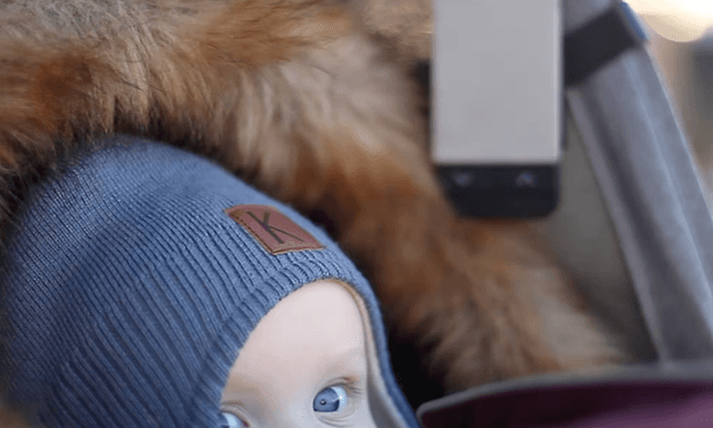 neonate-babymonitor-n65lgrey
