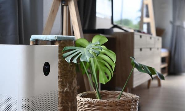 AdobeStock_412435024