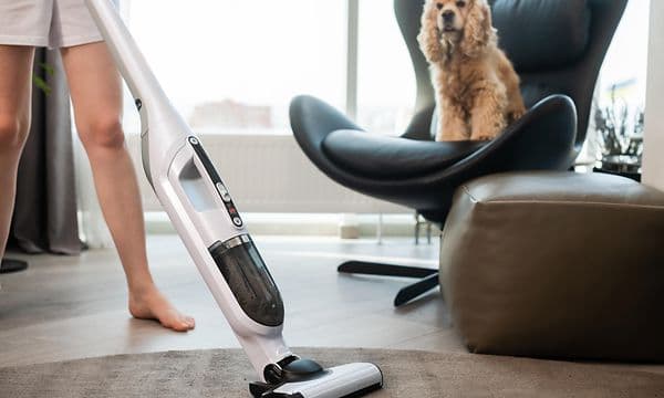 Støvsugere til kæledyrshår - Person støvsuger mens hund sidder i en lænestol