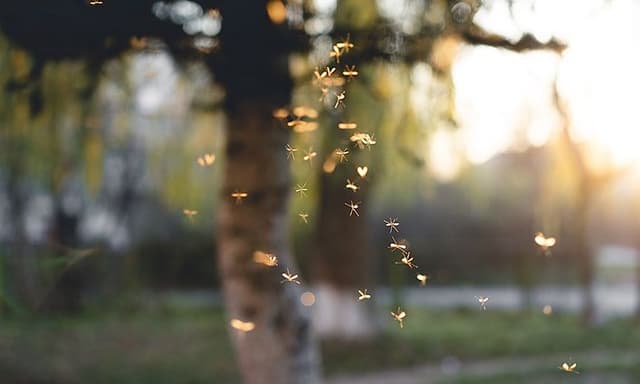 AdobeStock_362307025_resized