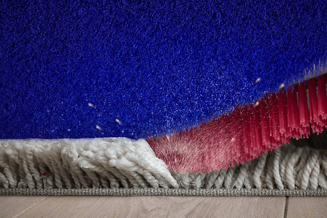 Close-up on Dyson 360 Vis Nav robot vacuum with stiff nylon bristles