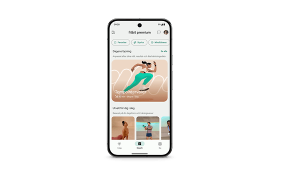 A look into the Fitbit Premium App