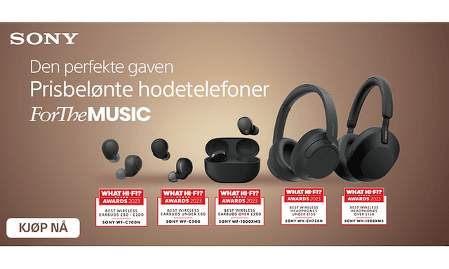 Sony headphones - for the music