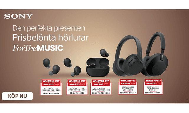 Sony headphones - for the music