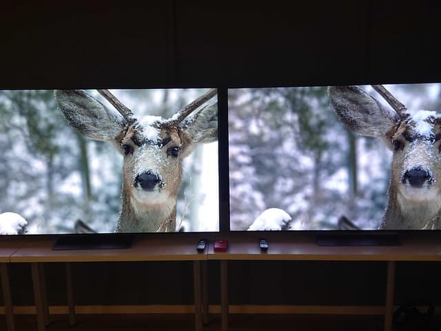 TV-paneelien vertailu - Kaksi vertailukuvaa kauriista vierekkäin