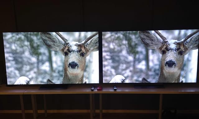 TV-paneelien vertailu - Kaksi vertailukuvaa kauriista vierekkäin
