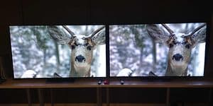 TV-paneelien vertailu - Kaksi vertailukuvaa kauriista vierekkäin