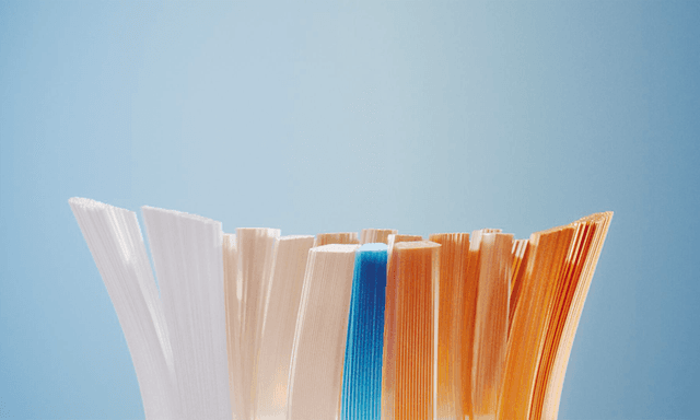 Philips_Sonicare electric toothbrush_All-in-one brush heads