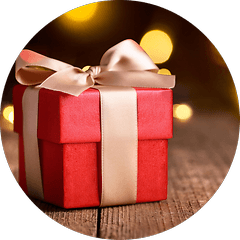 Circled Xmas Gift 100