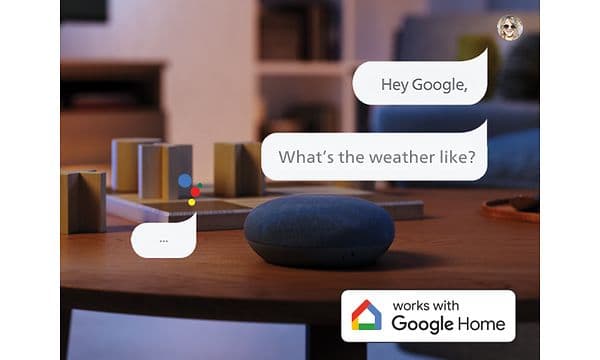 7.2 8079 Voice Assistant-2