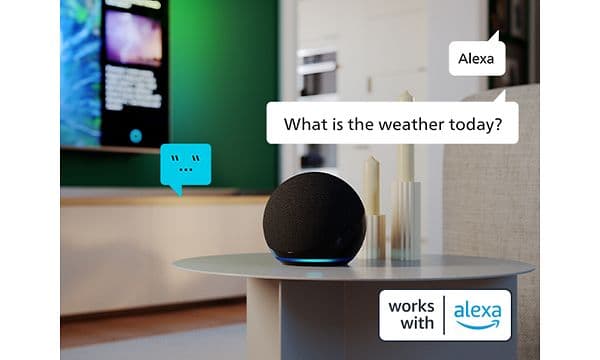 7.1 8079 Voice Assistant-1