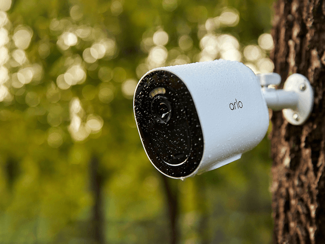 Arlo Go overvågningskamera på et træ