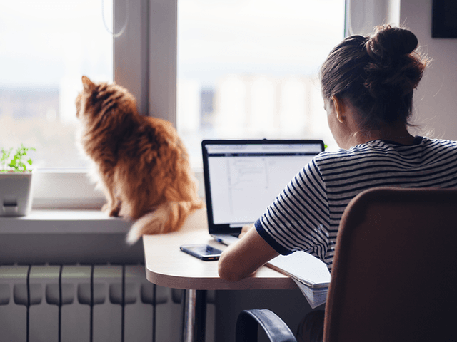 Kvinne sitter på hjemmekontoret og jobber og en katt ved siden av henne