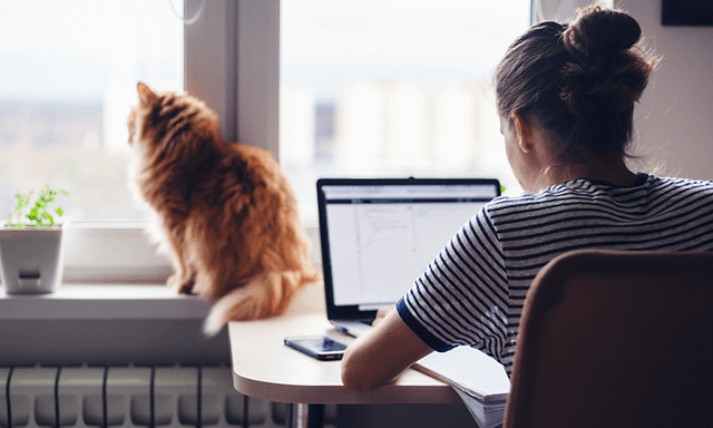 Kvinde, der sidder ved sit hjemmekontor, og arbejder på sin bærbare computer og en kat ved siden af ​​hende