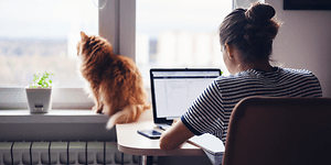 Kvinde, der sidder ved sit hjemmekontor, og arbejder på sin bærbare computer og en kat ved siden af ​​hende