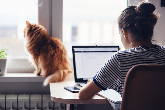 Kvinne sitter på hjemmekontoret og jobber og en katt ved siden av henne