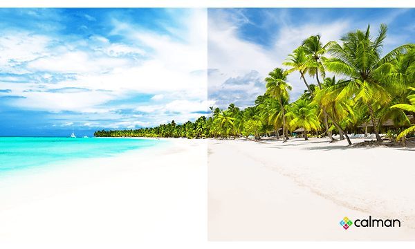 Contrast on beach