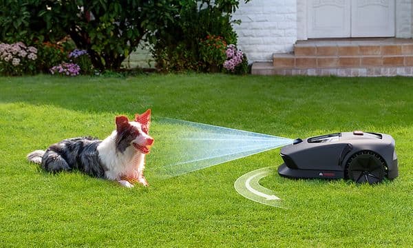 Dreame Robotgressklipper Mova 600 - Smart unngåelse av hindringer